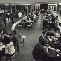 Long view of students in University Mall